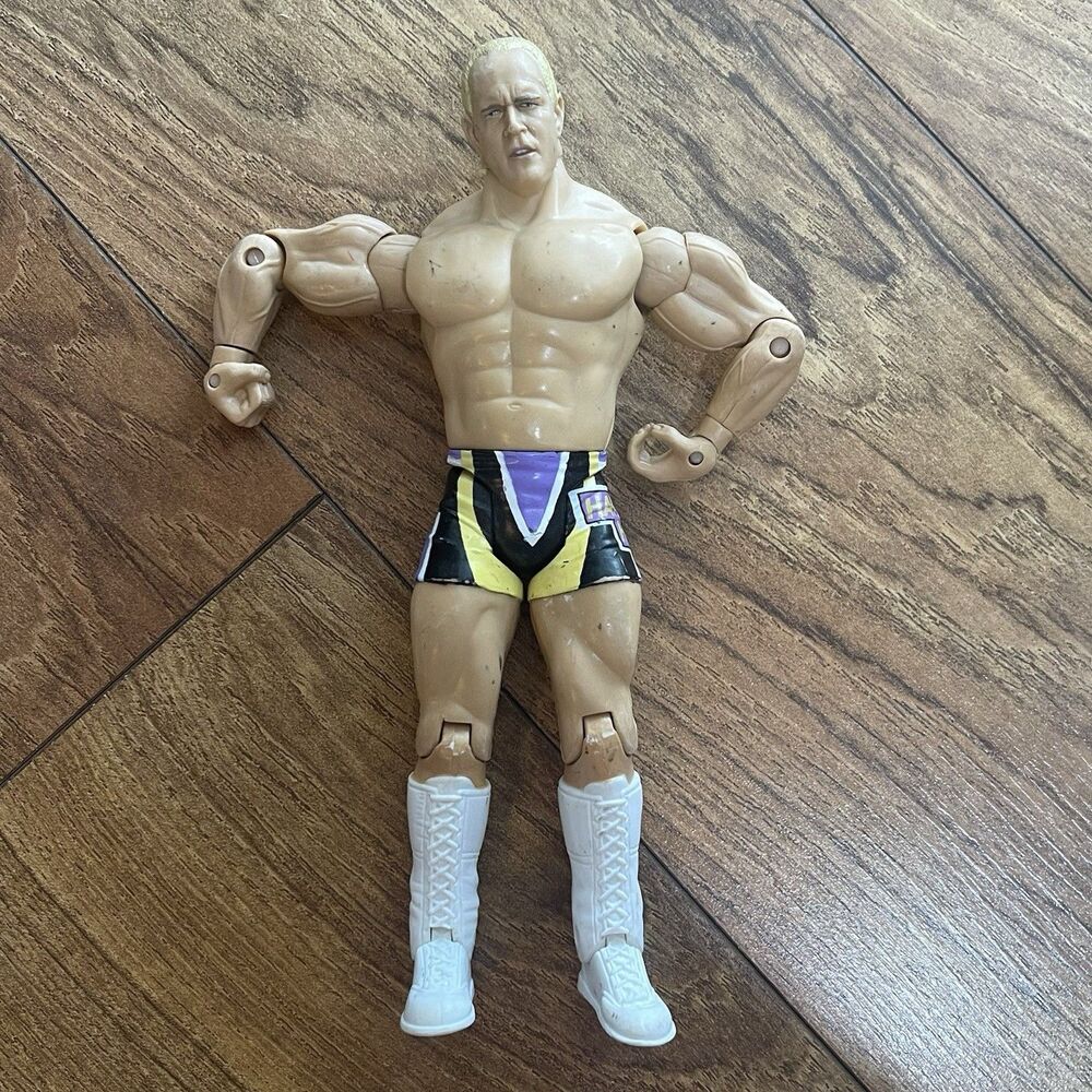 WWE Wrestling Action Figure Hardcore Holly Collectible Toy 2003 Jakks Pacific